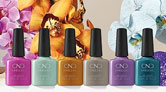 ┣ CND IN FALL BLOOM