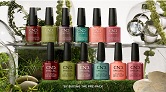 ┣ CND Dynamic Duality Fall 2024
