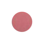 ONS Autumn Color Powder 12g Blush