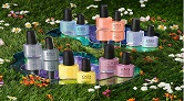 ┣ CND Spring 2024